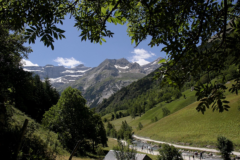 Mountain-View