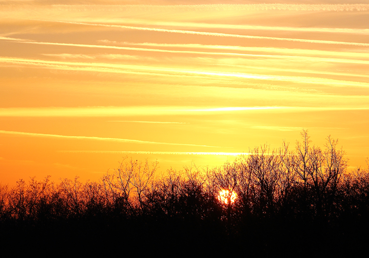 mountain view in the sunset