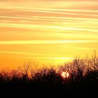 mountain view in the sunset