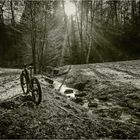 .... Mountainbike am Bach ....