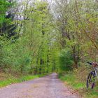 Mountainbike & Forststraße