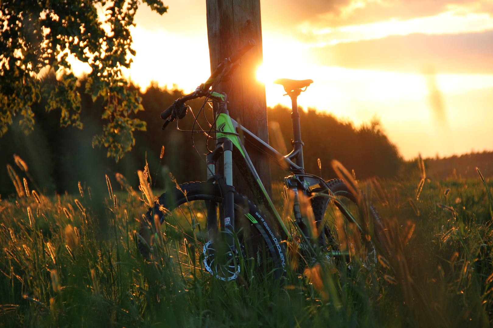 Mountainbike im Sonnenuntergang