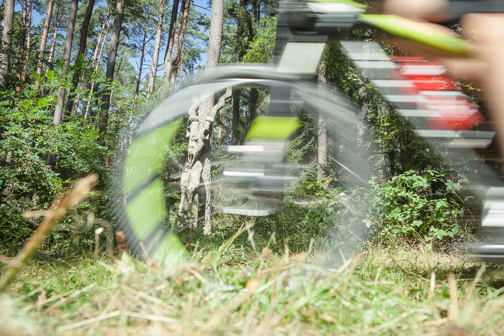 Mountainbiken im Kunstwaldgarten