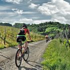 Mountainbiken im Schwarzwald