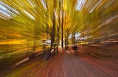 Mountainbiker im Herbstwald