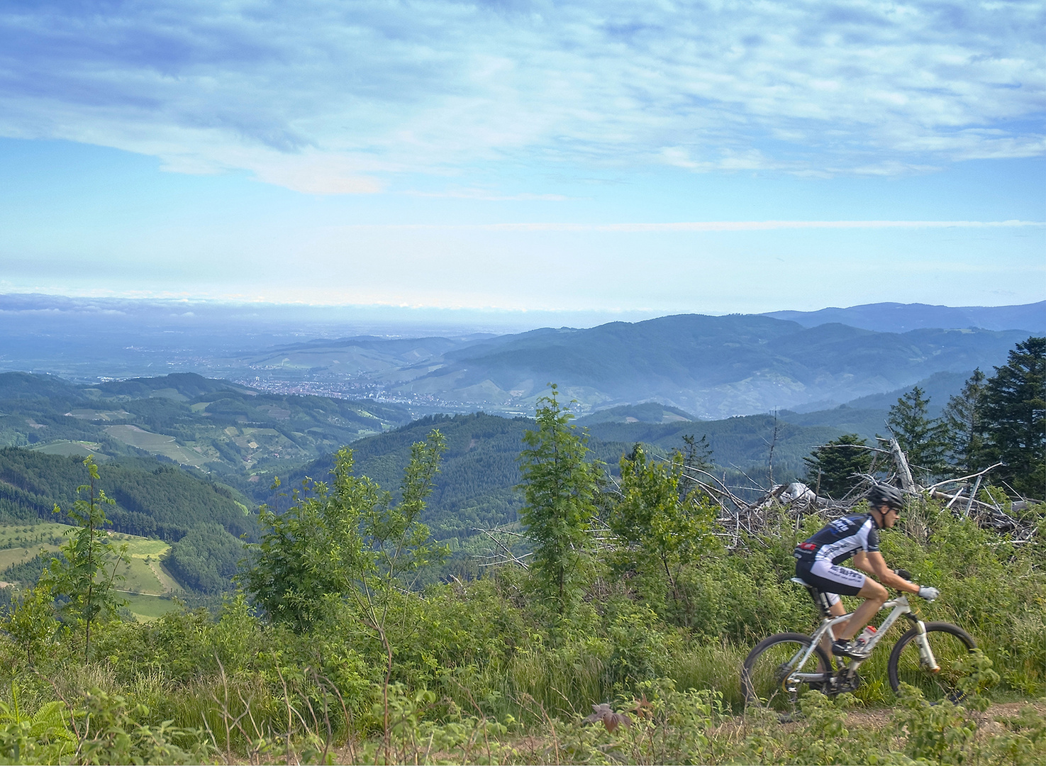 Mountainbiker im Schwarzwald