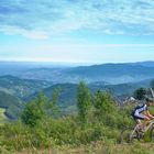 Mountainbiker im Schwarzwald