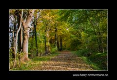 Mountainbiker von vorne