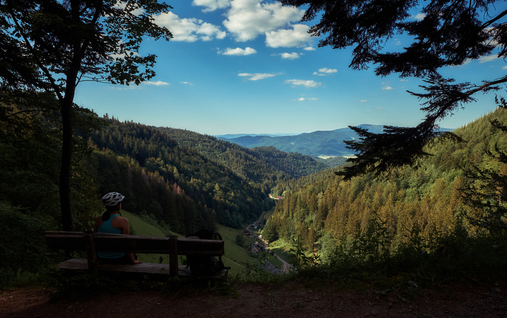 Mountainbiker's view