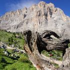 Mountainbiking trough the nature!