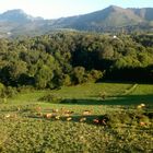 Mountains in Asturias Spain.