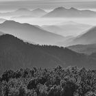 Mountains in the haze in black and white