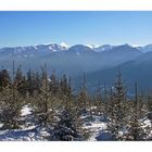 Mountains in the winter fog