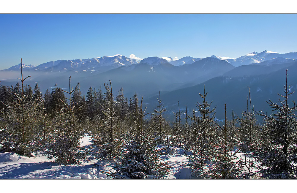 Mountains in the winter fog