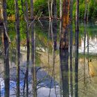 Mountains reflections