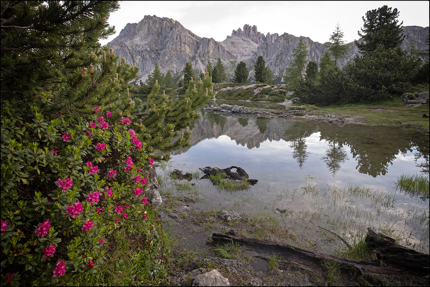 Mountains Scenes