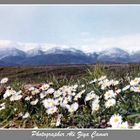 Mountains, Snow And Spring