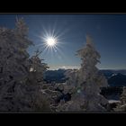 mountains, snow and sun...