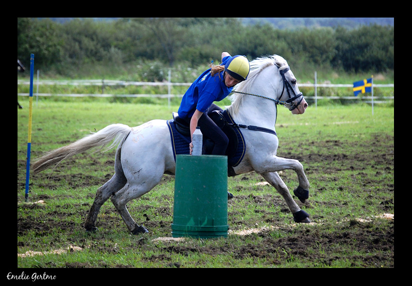 Mounted Games