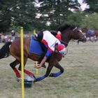 Mounted Games beim Reitverein Brelingen