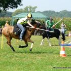 Mounted Games Jousting