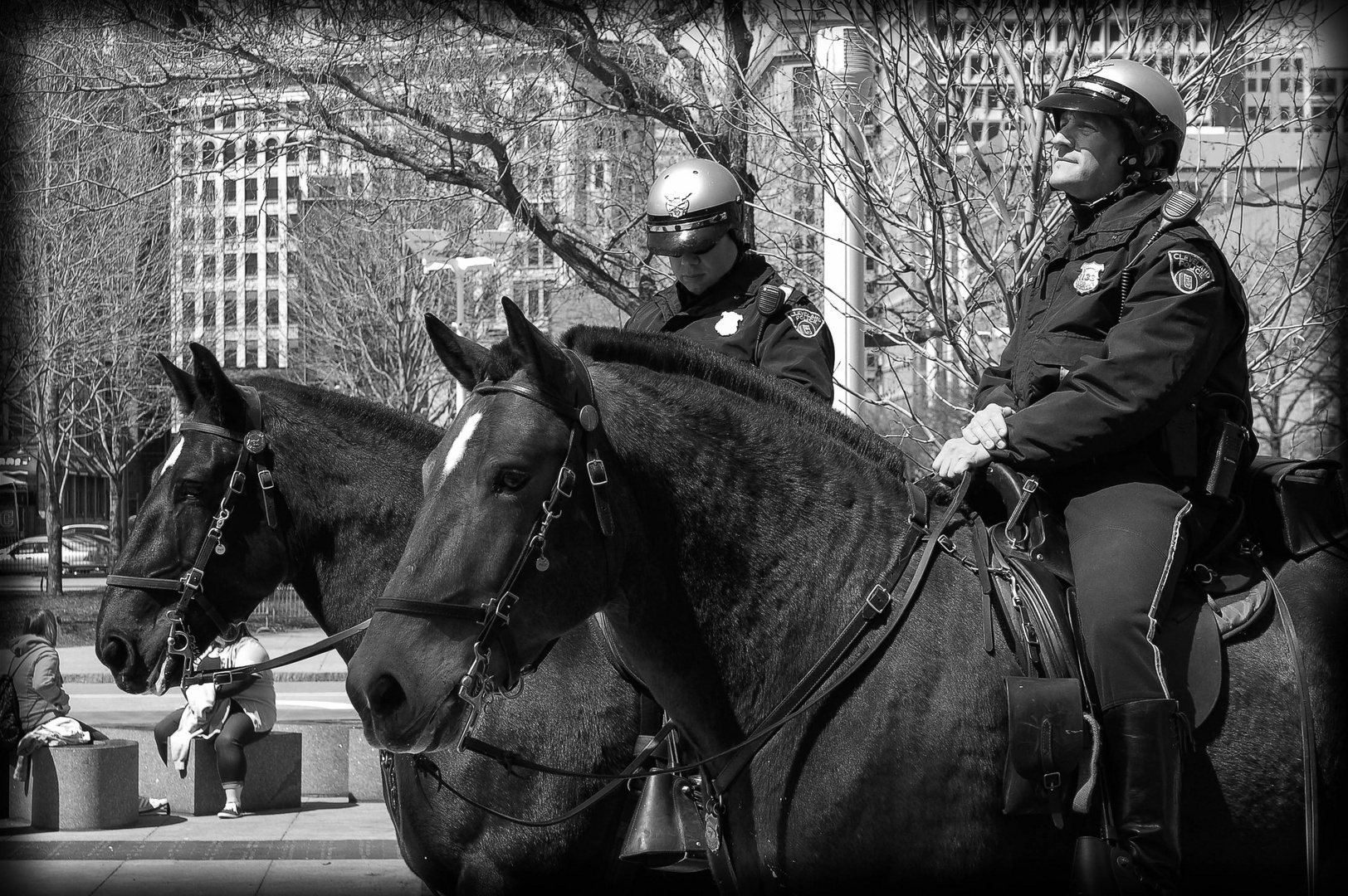 Mounted Police