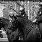 Mounted Police