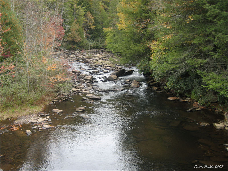 Mountian Stream