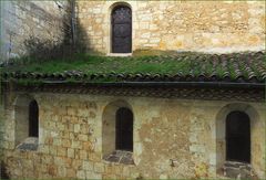Mousse et herbe sur un toit et les Murs de l’Eglise St-Jacques  à Condom  