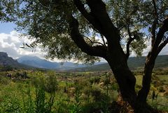 Moustiers-Ste Marie