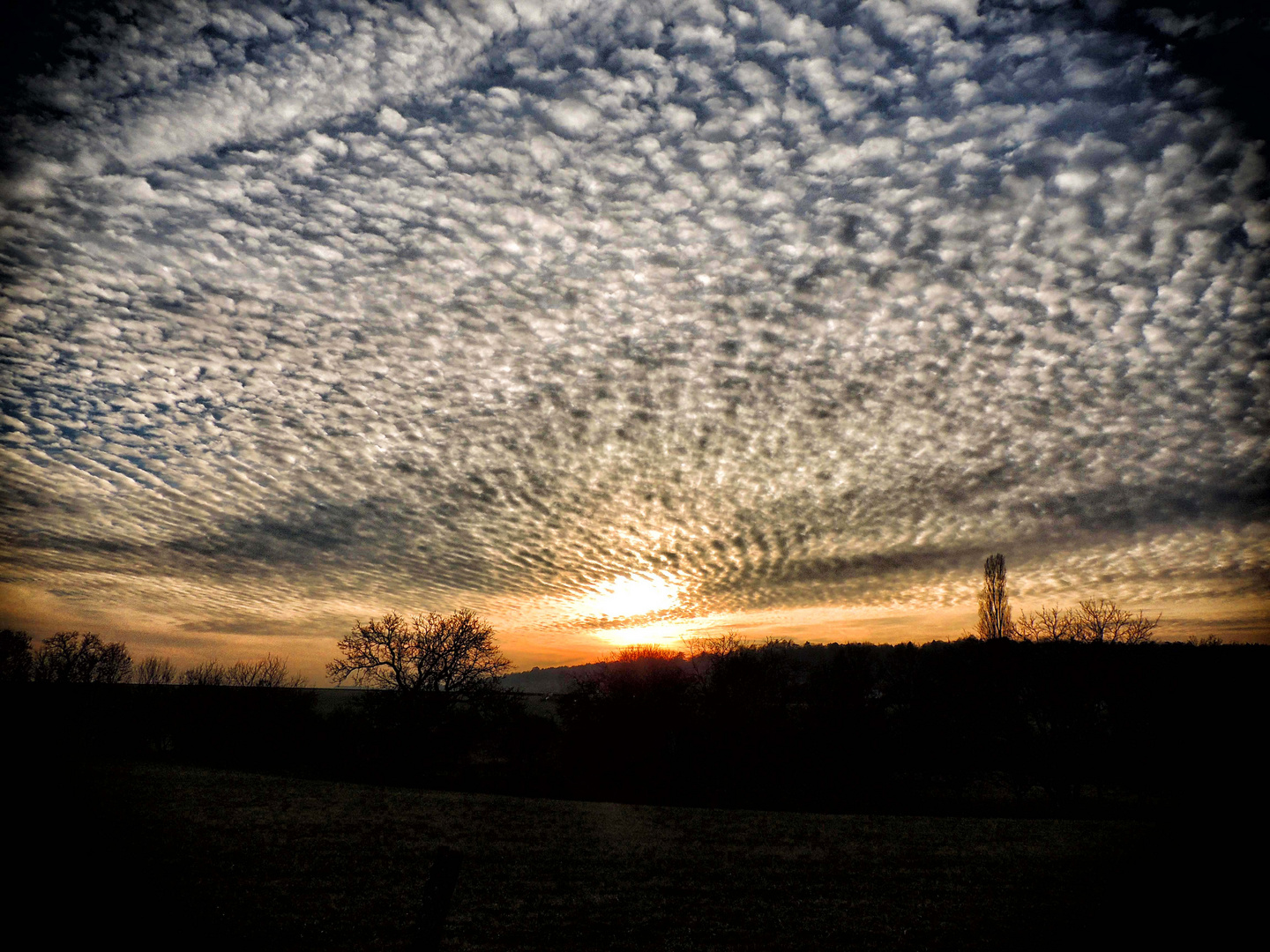 Moutons dans le ciel