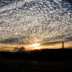 Moutons dans le ciel