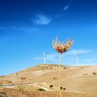 MOVIDOS POR EL MISMO VIENTO