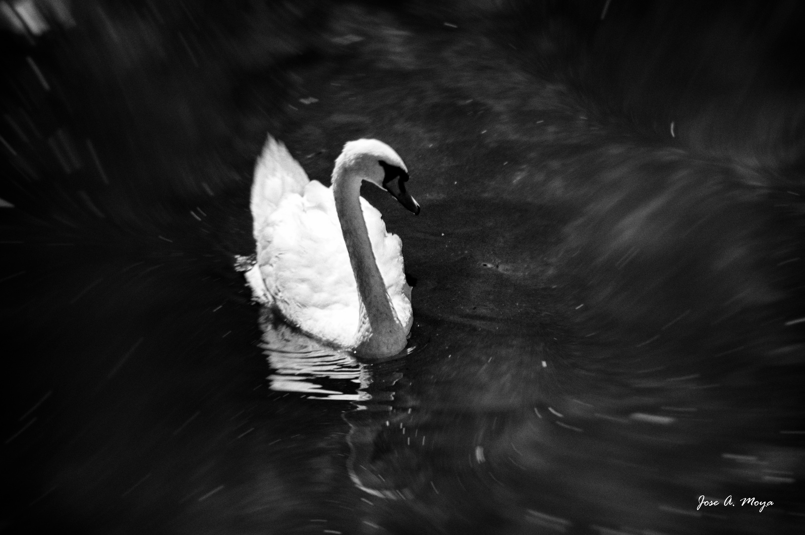 Movimiento en el agua