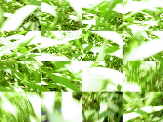 Moving - Grass