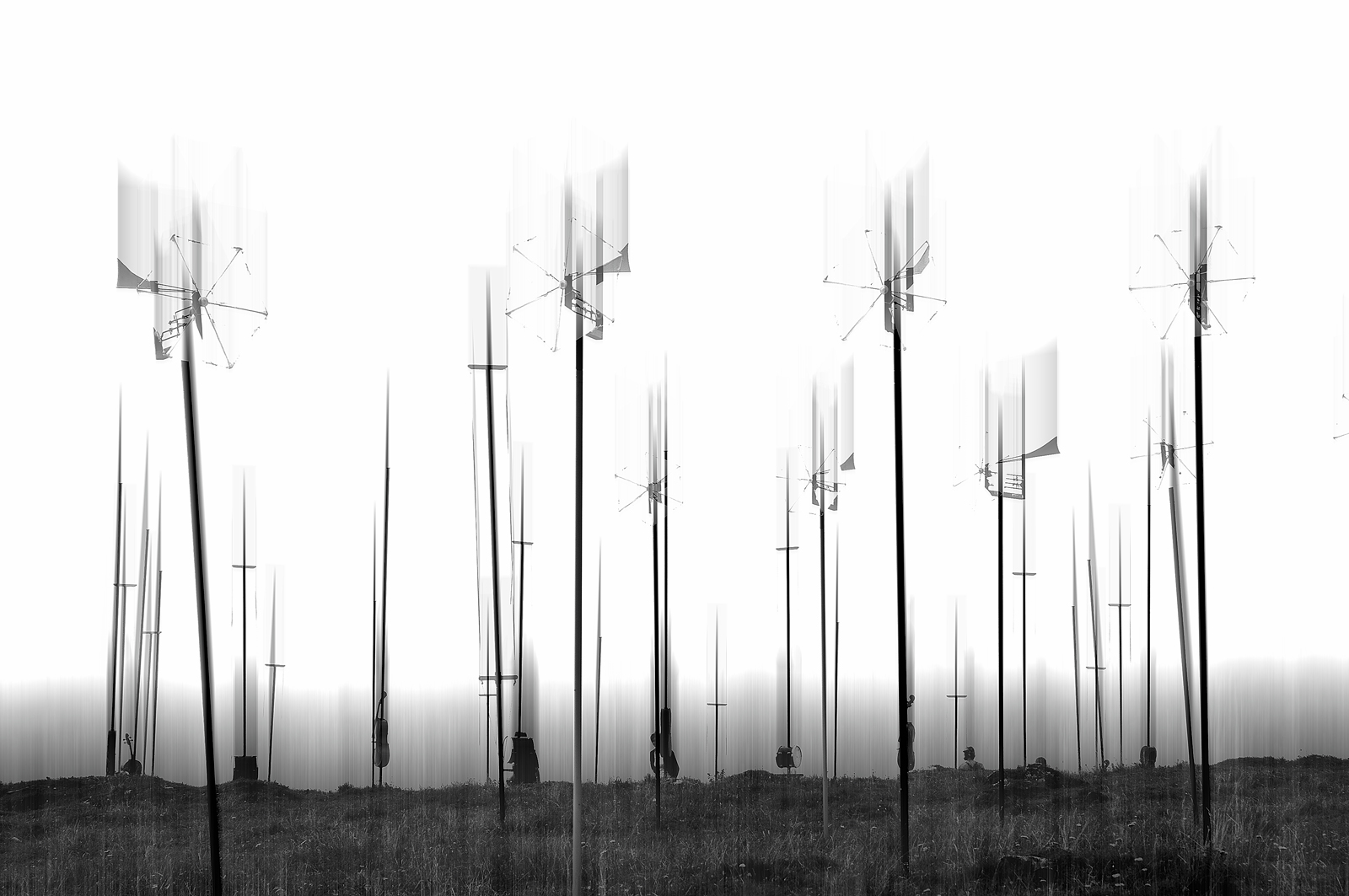 Moving Harmonic Fields - La Strada 2012
