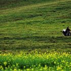 Moving in the Prairie