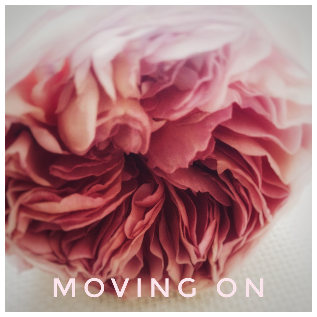 Moving on 