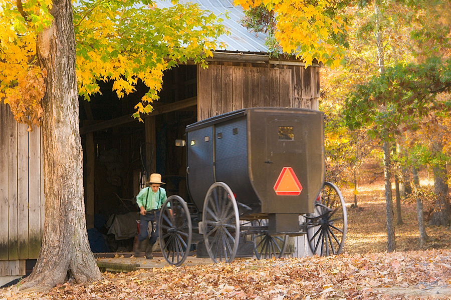 Moving the buggy