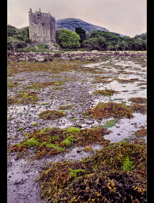 Moy Castle