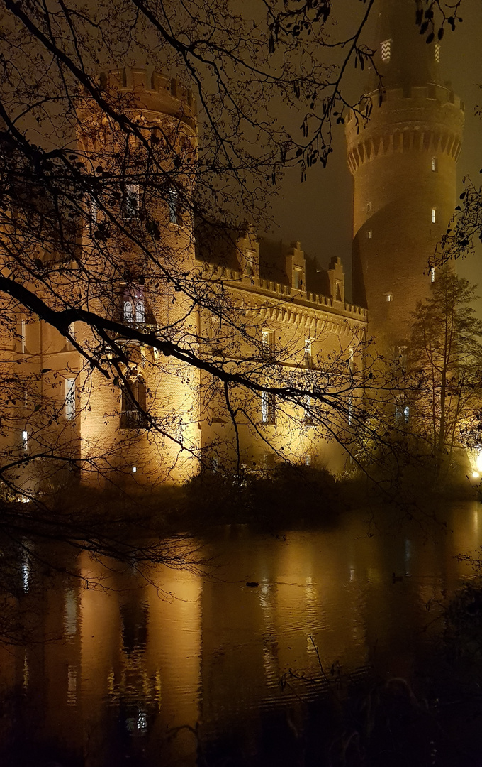 Moyland im Winternebel 