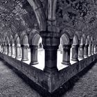 Moyne Abbey 2