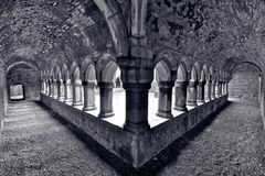 Moyne Abbey 2