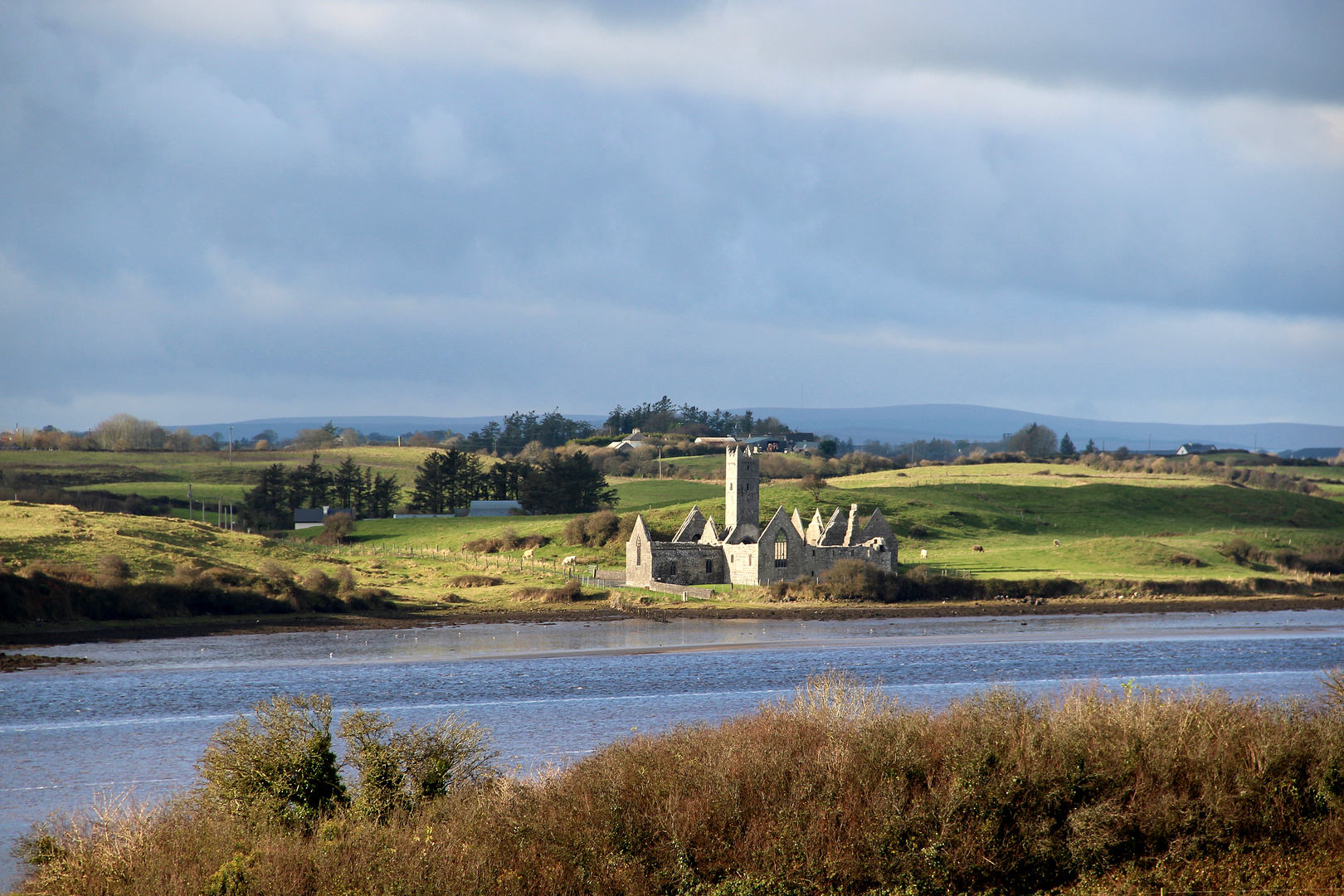 Moyne Abbey