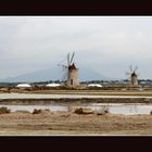 Mozia - Le Saline