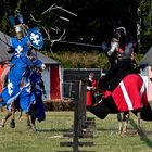 MPS Mittelalterlich Phantasie Spectaculum Hohenwestedt 2011 Knghts !