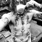 User Profile Photo