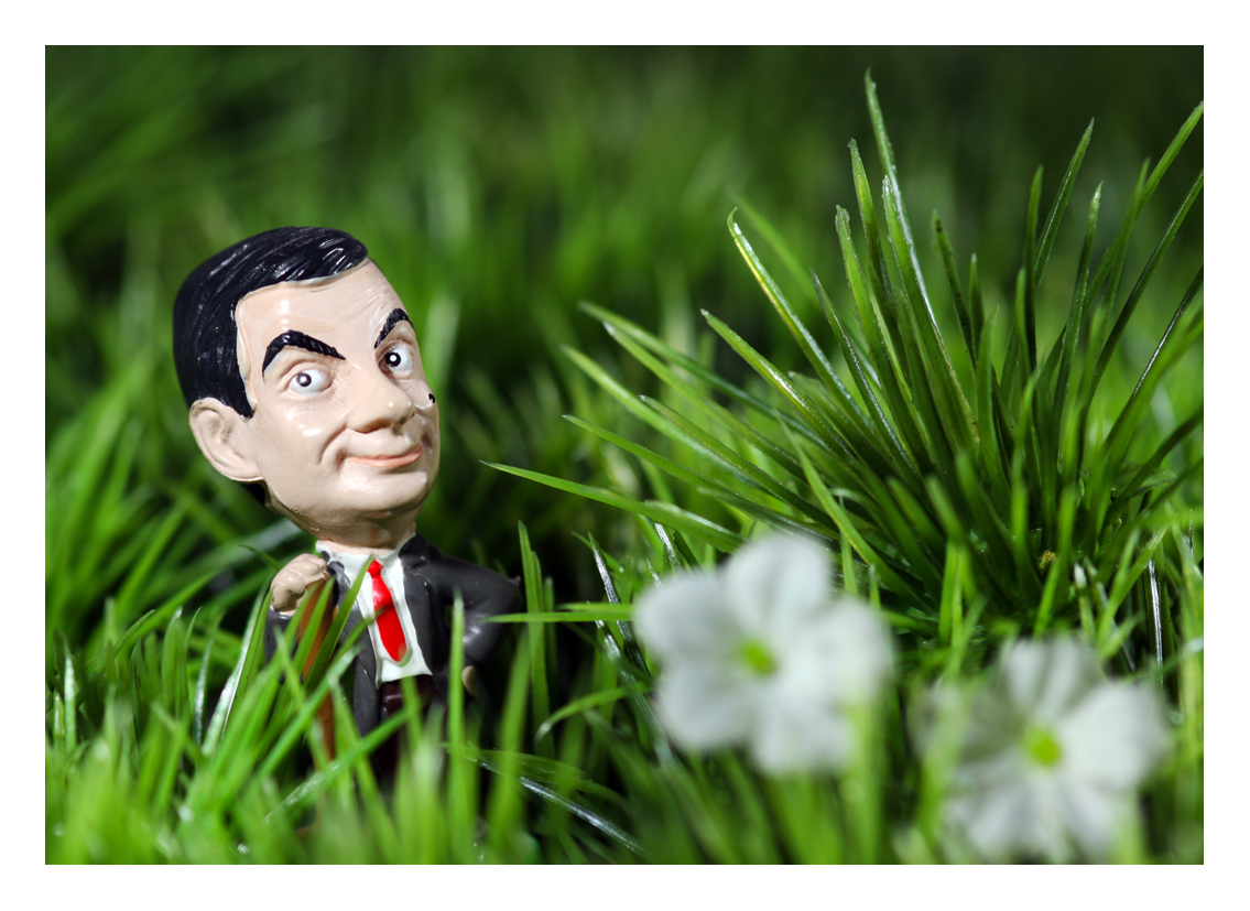 Mr. Bean Sonntags auf dem Rasen