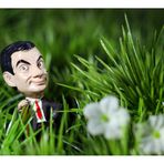 Mr. Bean Sonntags auf dem Rasen