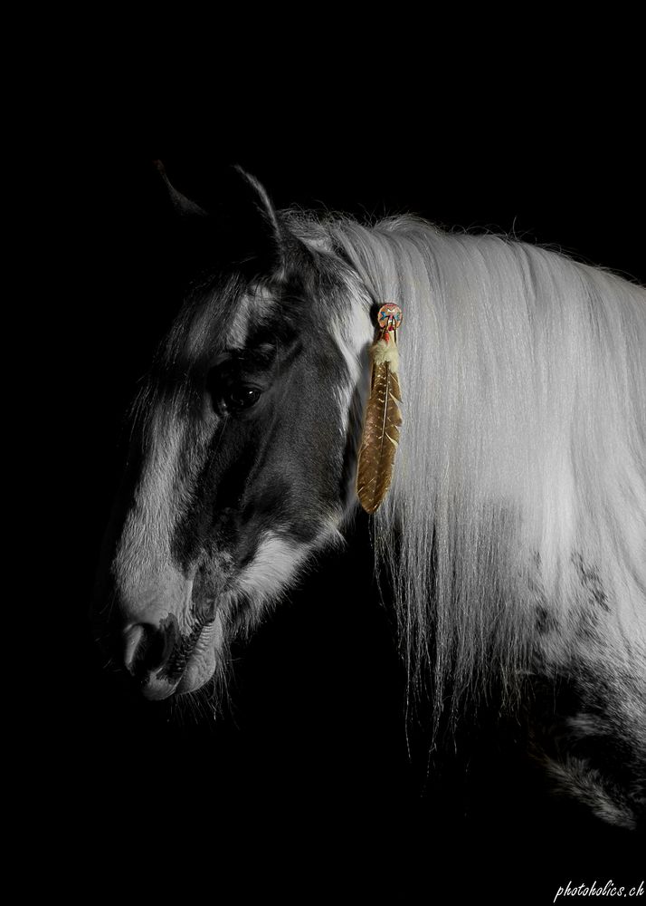 Mr. Blue verkleidet sich als Sitting Bull...